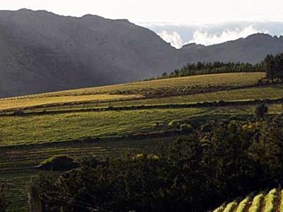 Mountain Cottages At Haskell Vineyard 斯泰伦博斯 外观 照片