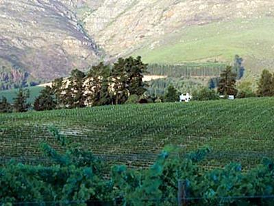 Mountain Cottages At Haskell Vineyard 斯泰伦博斯 外观 照片